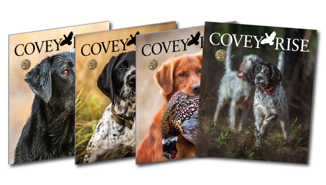 Covey Rise Magazine