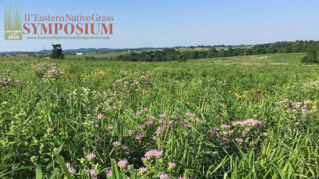 Eastern Native Grass Symposium