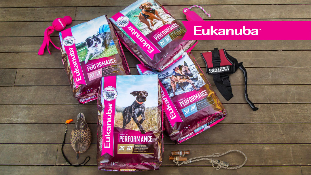 Eukanuba