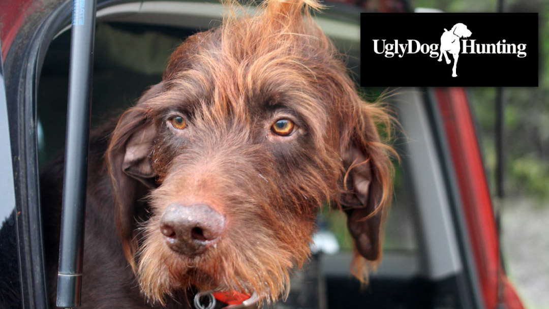 Ugly Dog Hunting Company